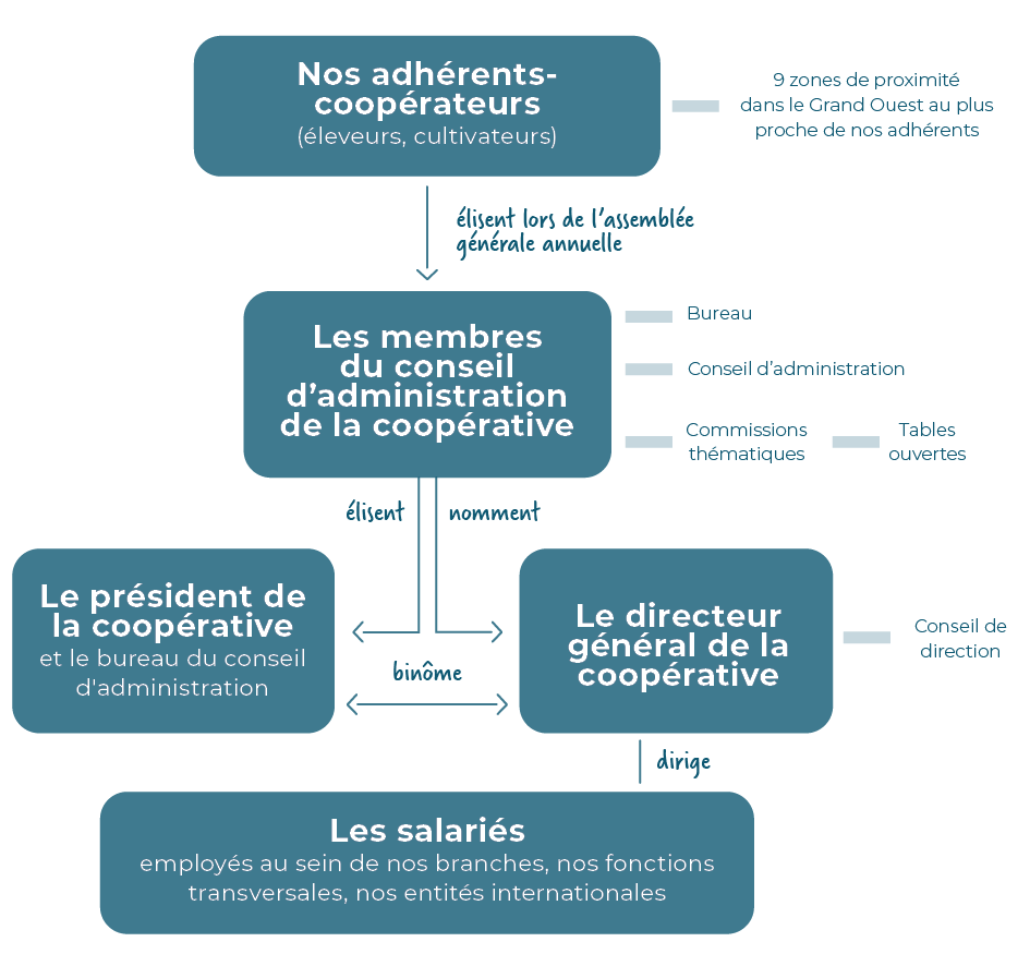 schéma organisation Cooperl