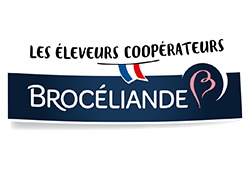 logo brocéliande 