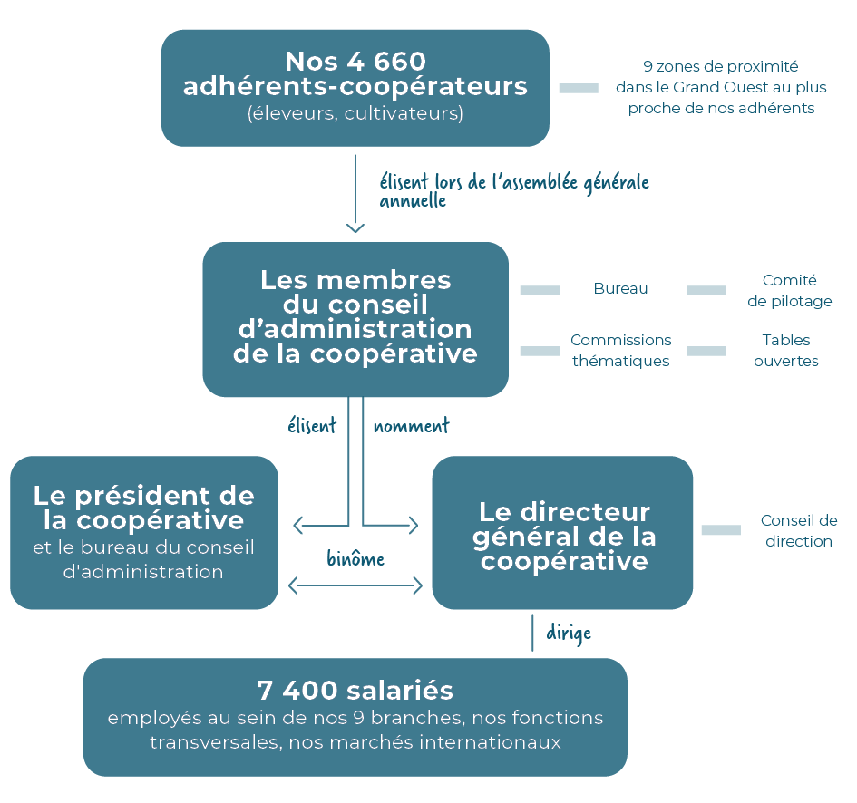 Organisation Cooperl