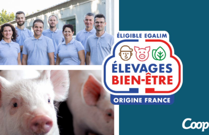 Elevage bien-être