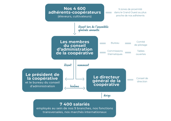 schéma gouvernance et direction mai 2024